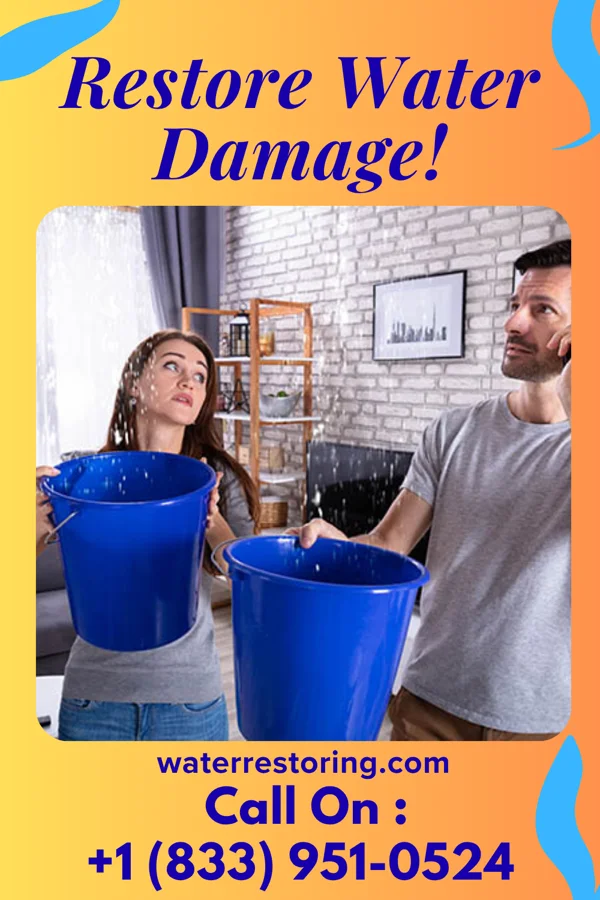 water restoration Master Restoration Co Windermere