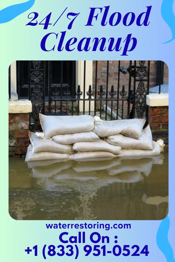 24/7 Flood Cleanup in Windermere, FL