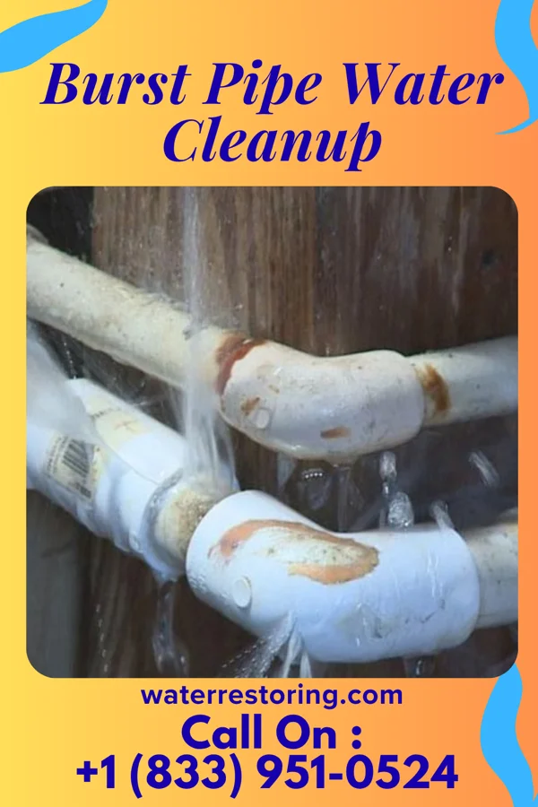 Burst Pipe Water Cleanup in Windermere, FL