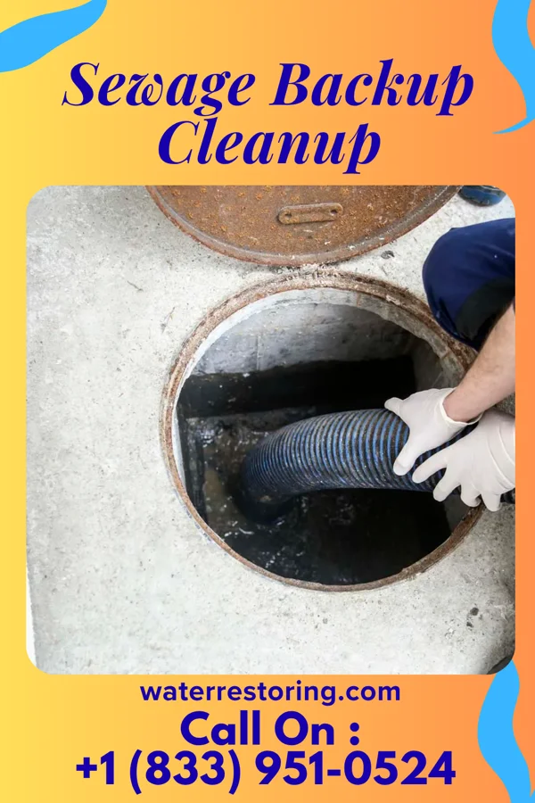 Sewage Backup Cleanup in Windermere, FL