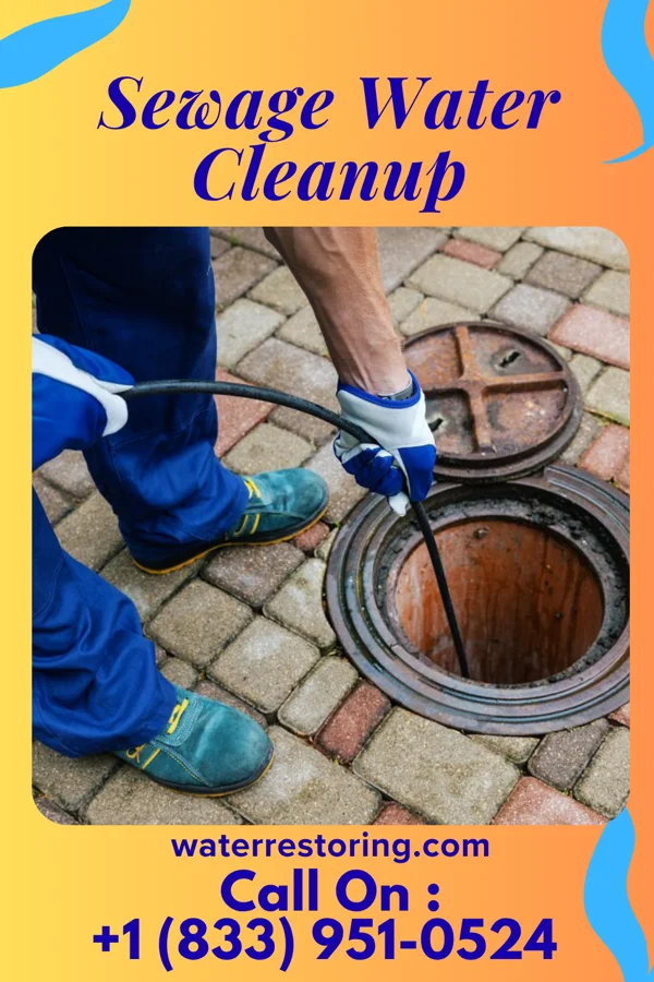Sewage Water Cleanup in Windermere, FL
